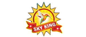 Best Fireworks Brand